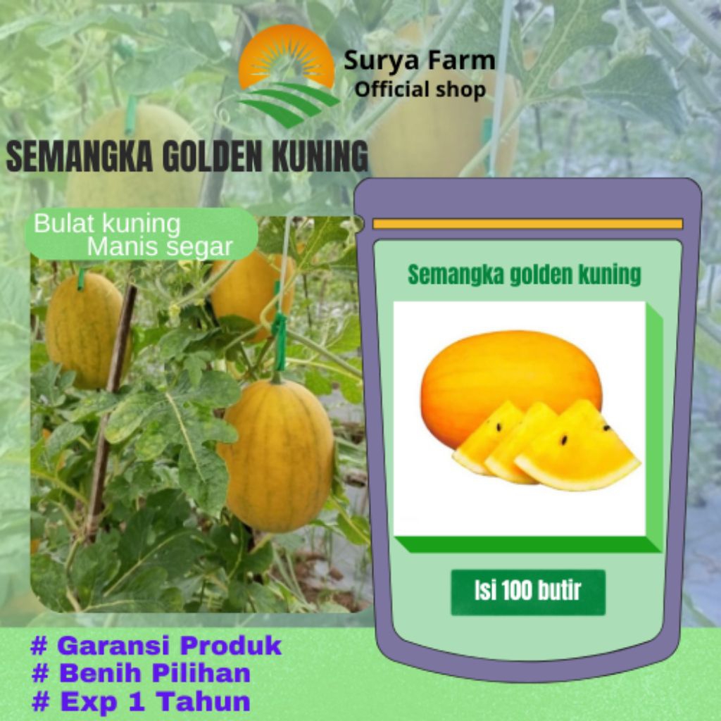 Surya farm> macam benih biji semangka>100 butir benih biji semangka