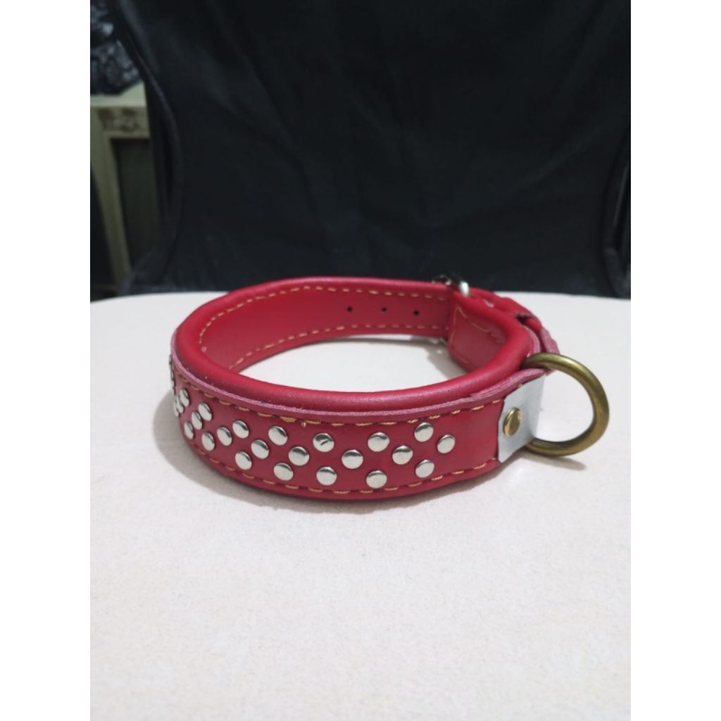 kalung anjing kampung 2 jari bahan kulit asli