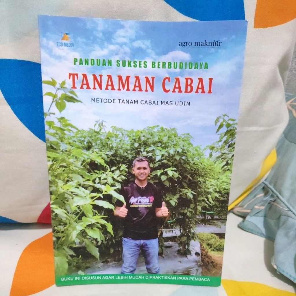 panduan sukses berbudidaya tanaman cabai metode tanam cabai mas udin