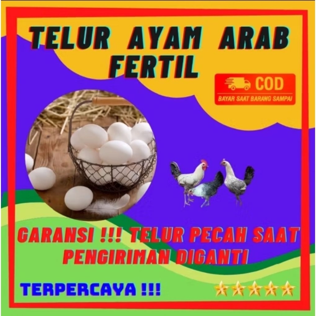 telur ayam arab fertil