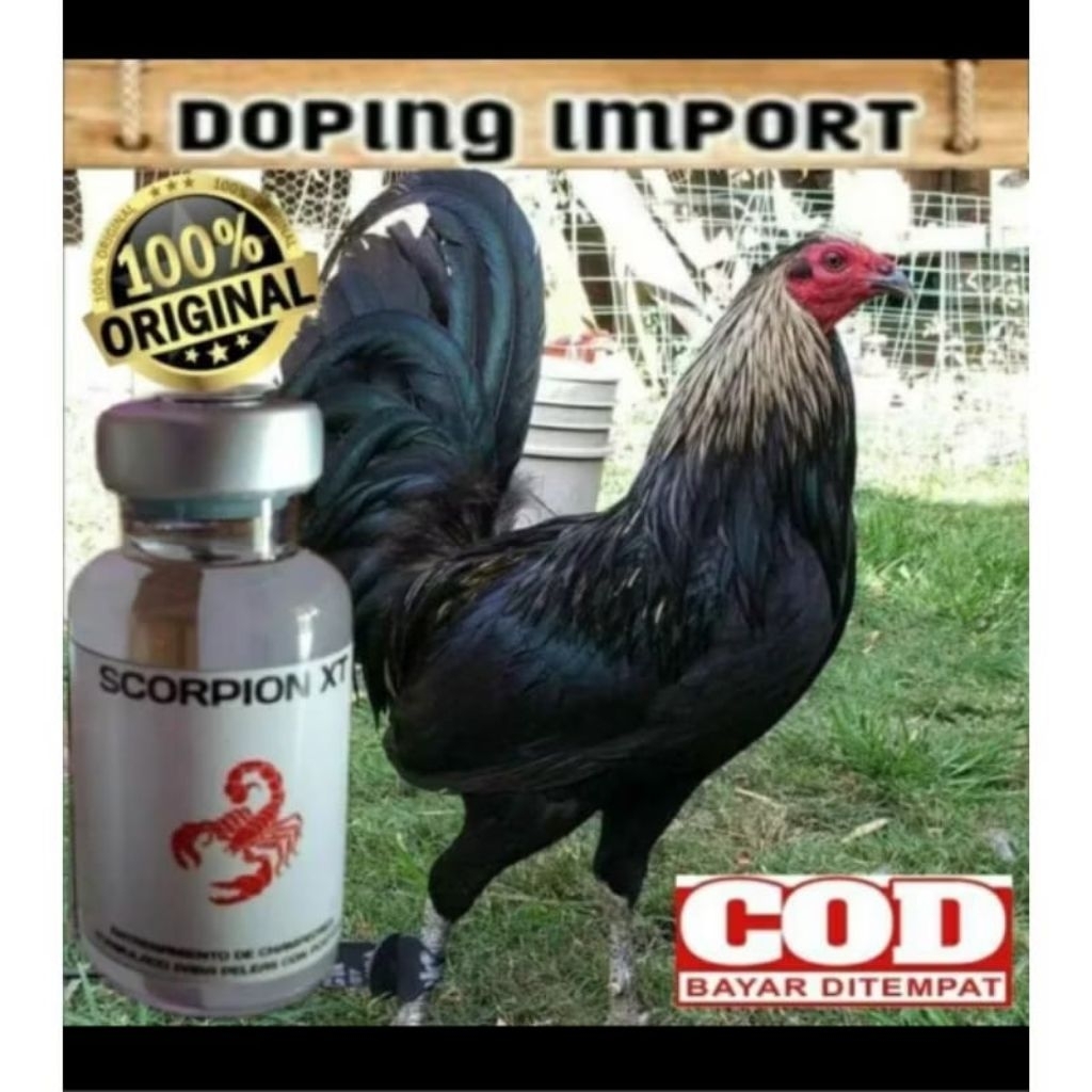 TERBAIK DOPING AYAM TAJI