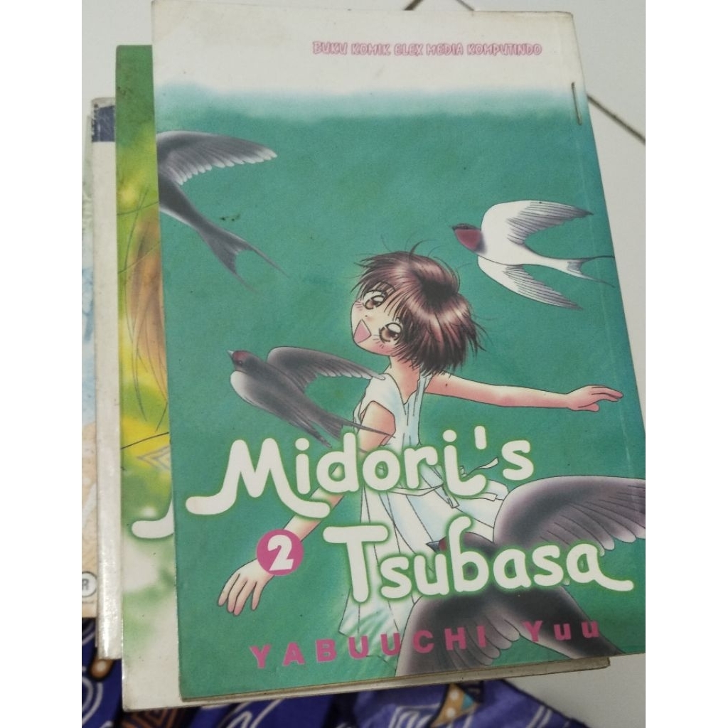 komik yabuuchi yuu ex rent