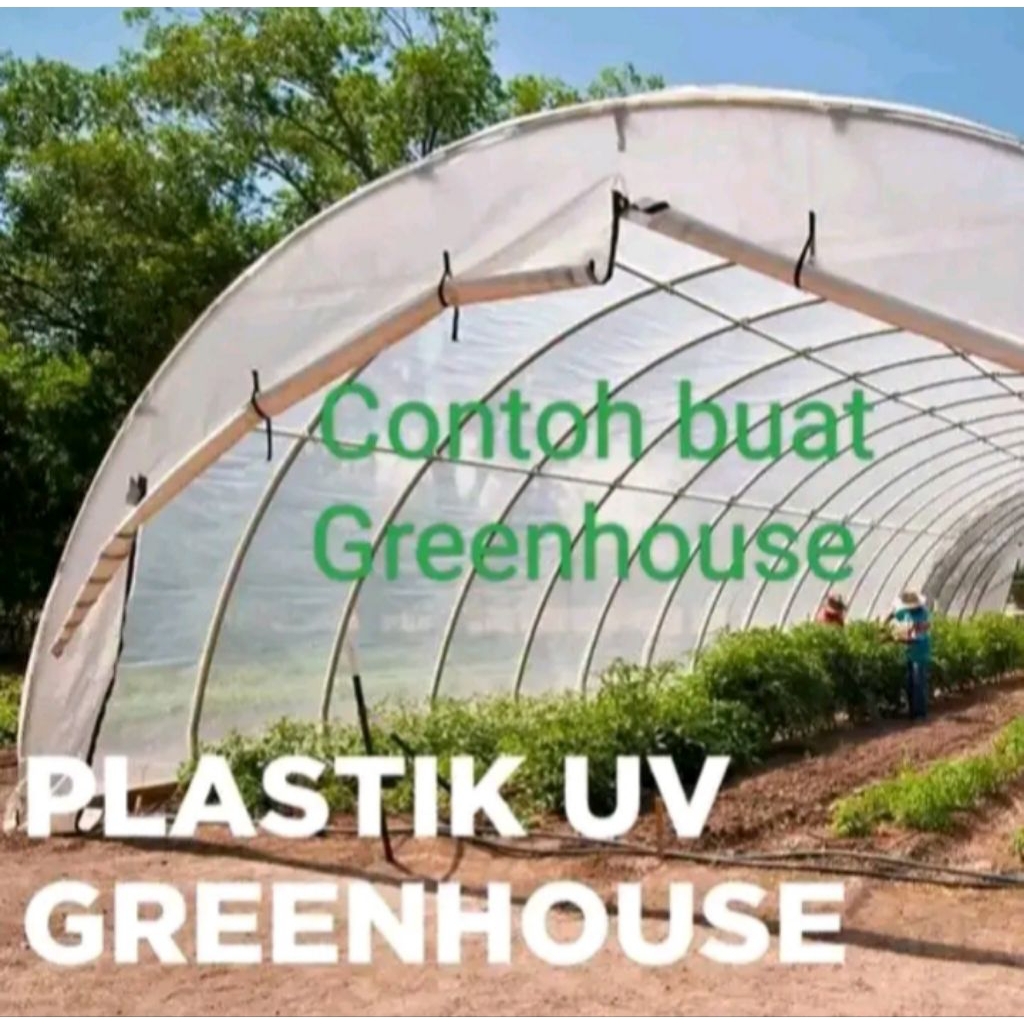 Plastik UV Greenhouse 8mx7m