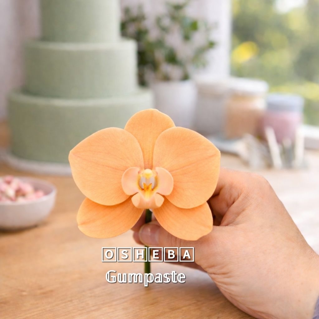 [osheba] gumpaste bunga bs anggrek bulan MOTH -11 warna orange