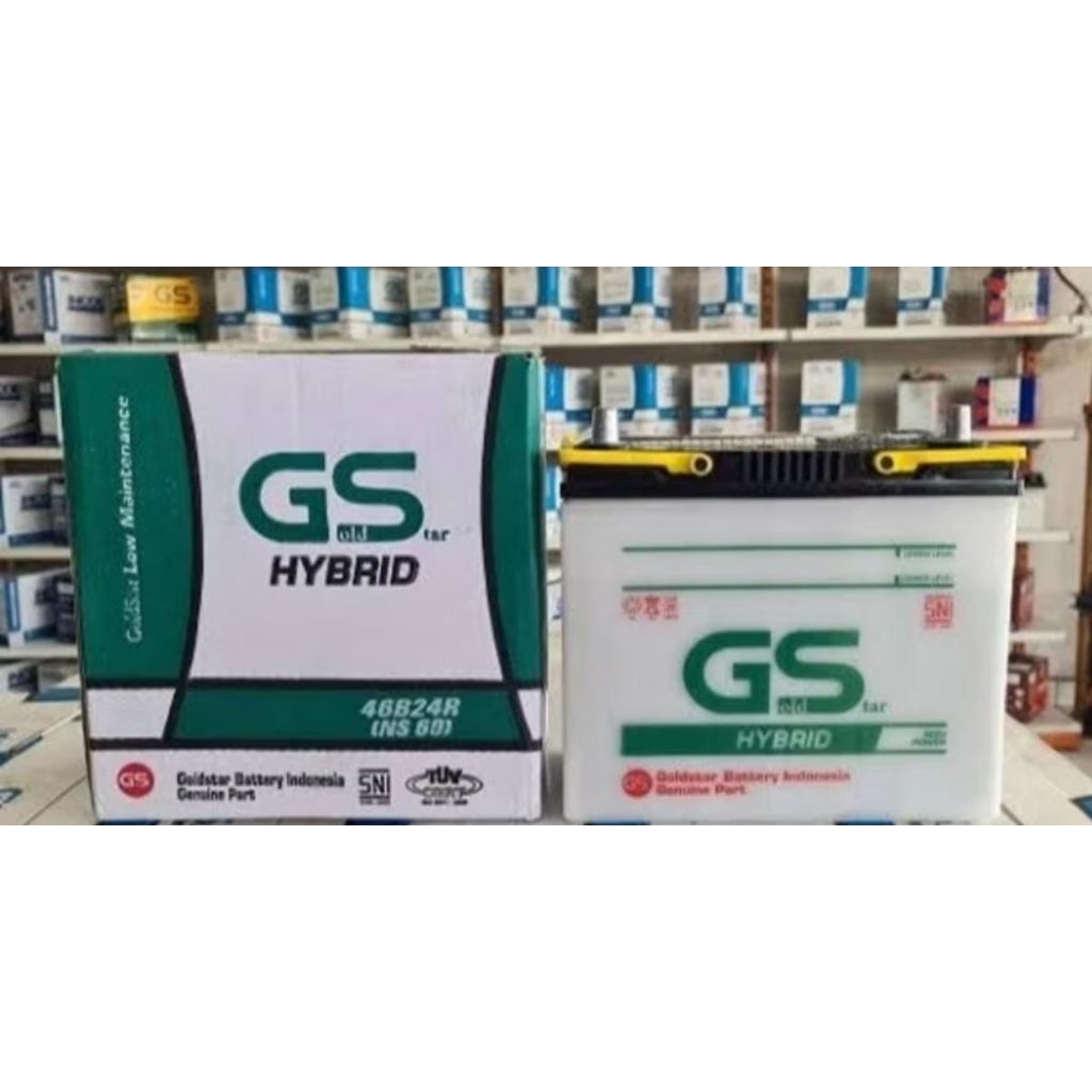 GS Gold Star Hybrid ns60 46B24R