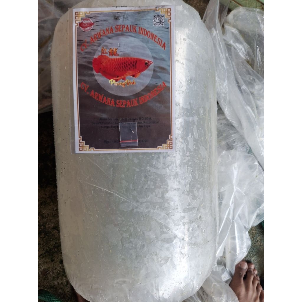 ARWANA SUPER RED 20CM