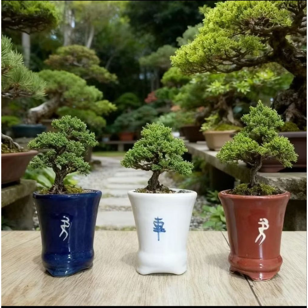 1Pcs Pot Keramik Bonsai Cascade Premium pot keramik tanaman hias pot keramik pohon bonsai