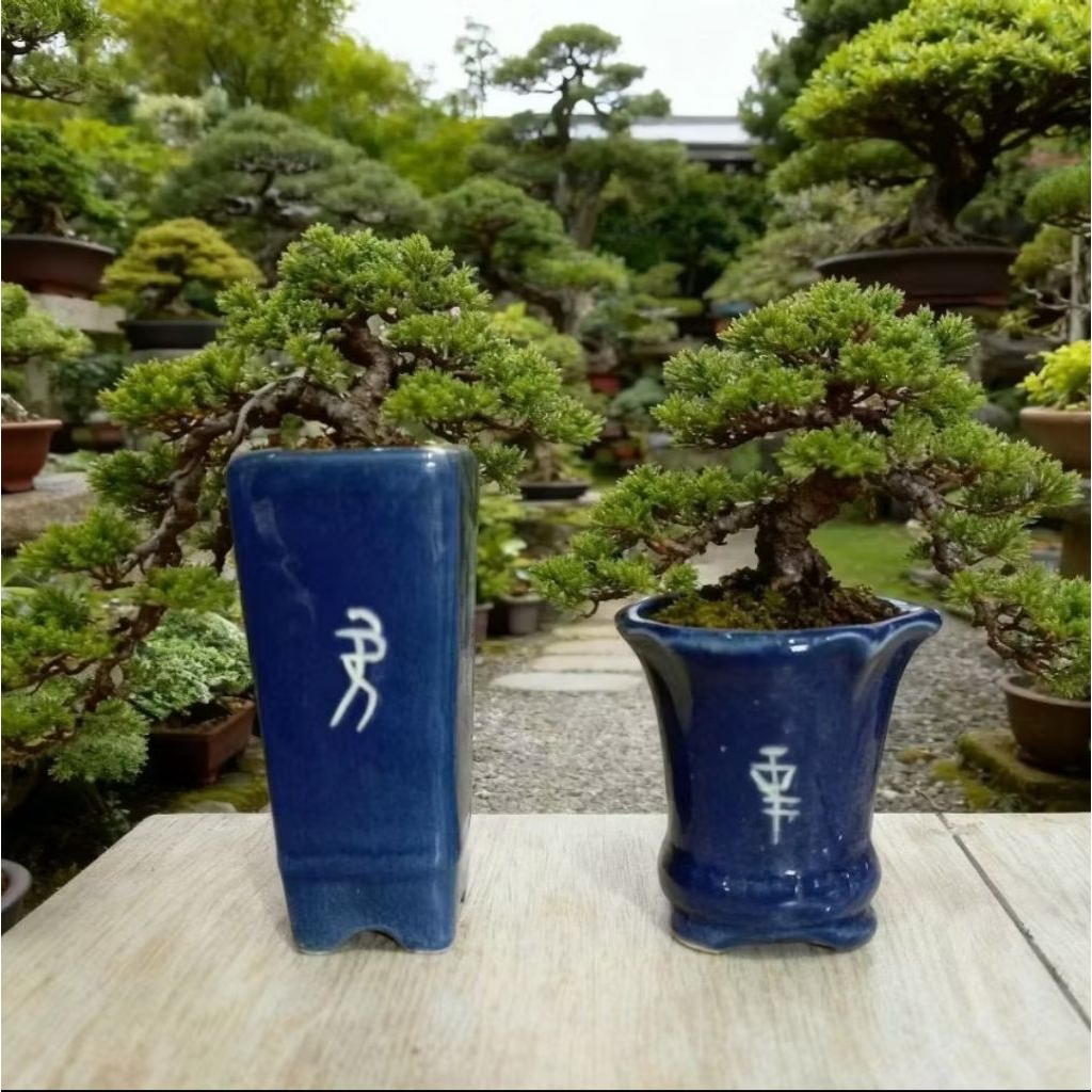 Paket Hemat 2pcs Pot Keramik Bonsai Cascade Premium Pot Keramik Tanaman Hias Pot Pohon Bonsai