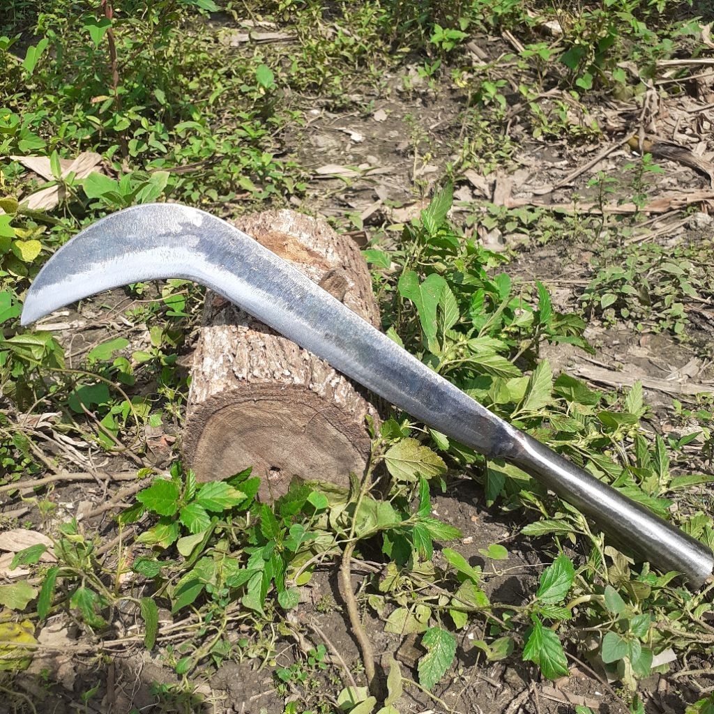 sabit ndprit pemotong ranting kayu tebal /bambu bahan baja pir asli