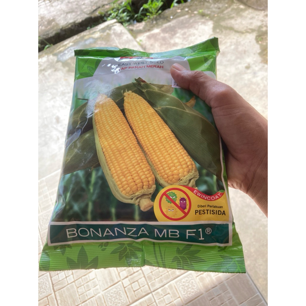 BENIH JAGUNG BONANZA MB F1
