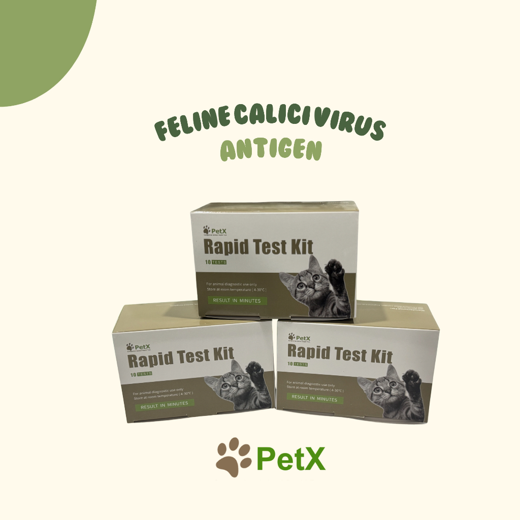 PetX FCV Ag (Feline Calici Virus) Antigen Rapid Test Hewan