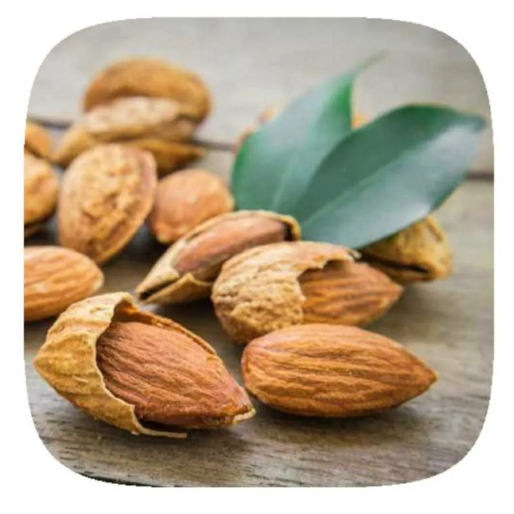 KACANG ALMOND KULIT UTUH PANGGANG / KACANG ALMOND PANGGANG KULIT PREMIUM