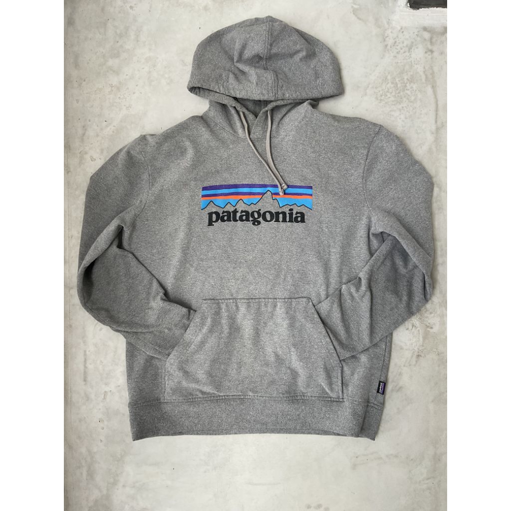 Hoodie patagonia