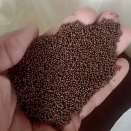 Pelet makan ikan Kecil PF500 1kg