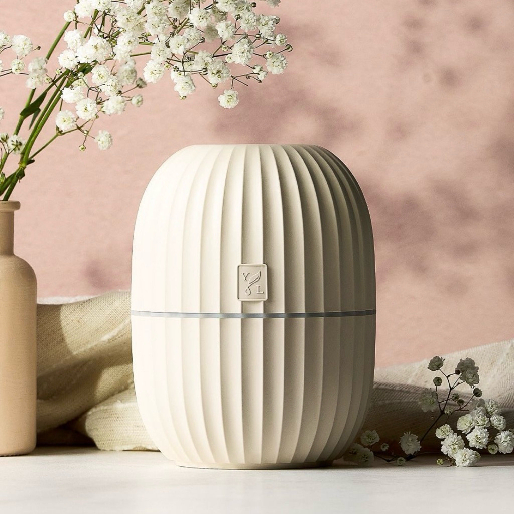 Cactus Diffuser/DIFFUSER AROMATHERAPY