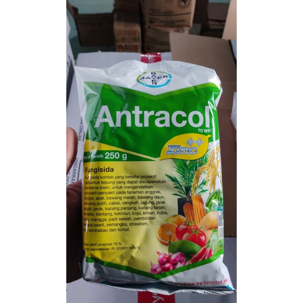 Antracol 250 Gram