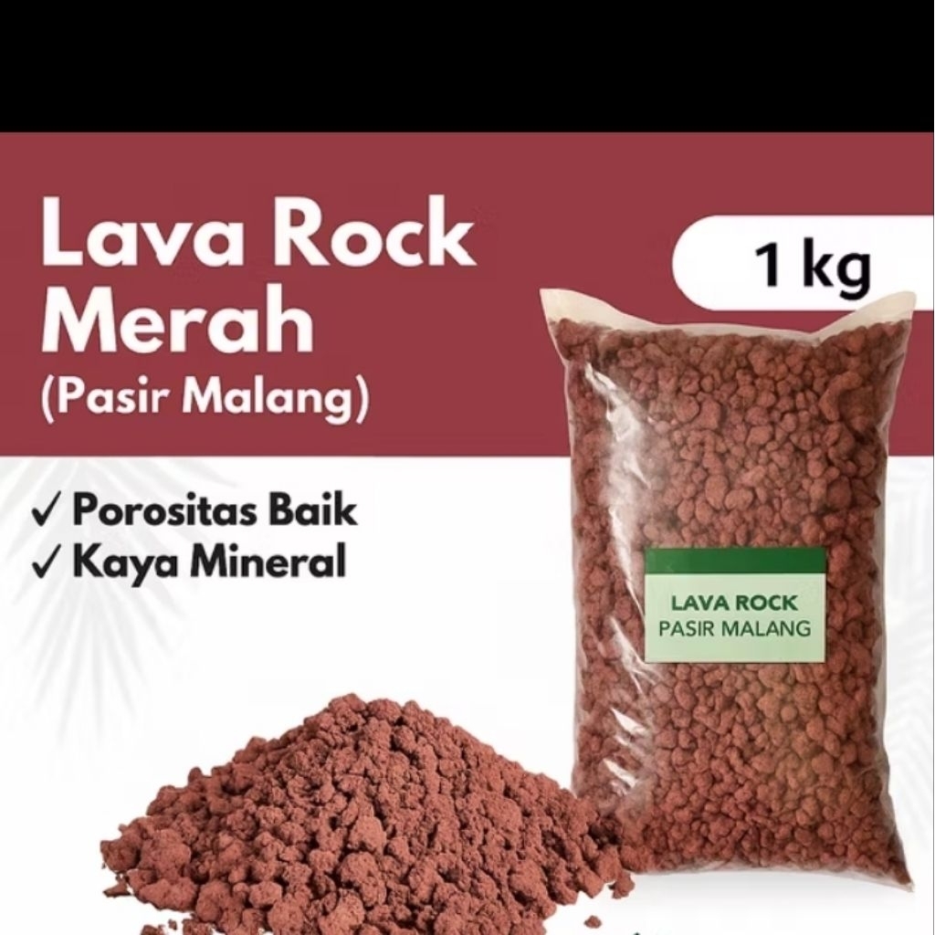 Pasir malang Lava rock ukuran sedang