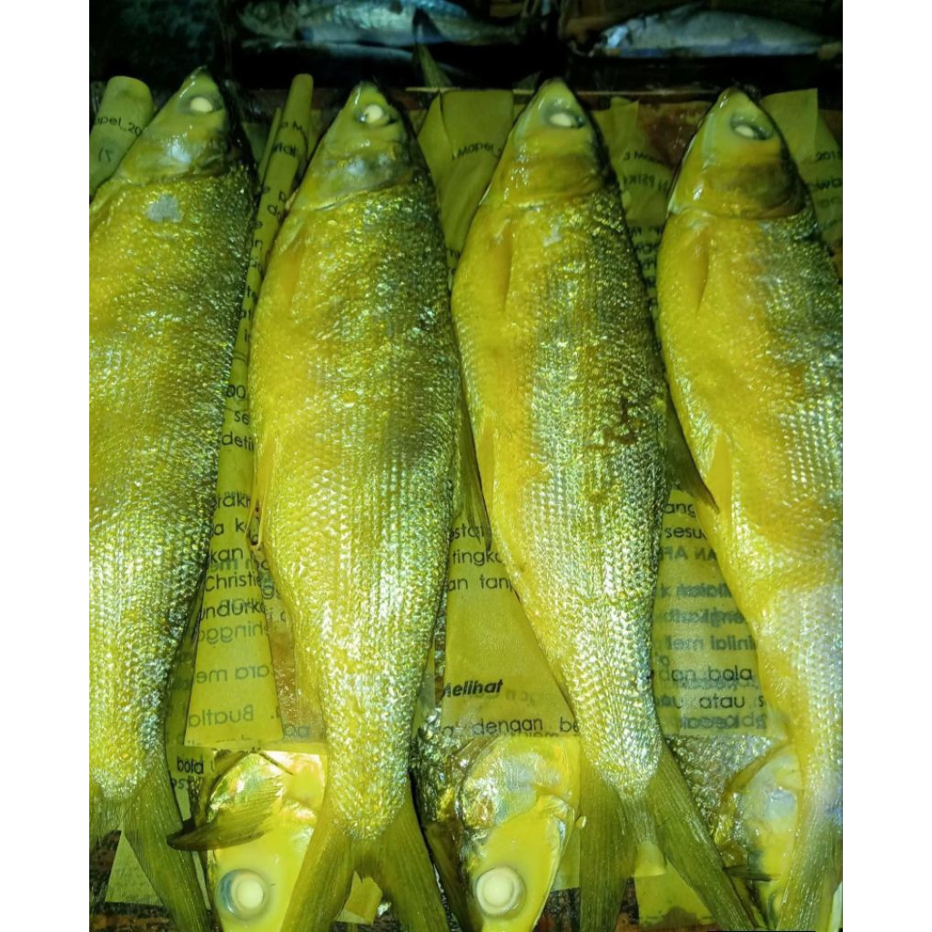 PASAR ONLINE BANDENG PRESTO -KHUSUS PENGIRIMAN AREA JOGJA, KLATEN, SOLO