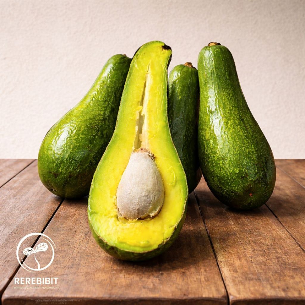 Bibit Alpukat Kelud Sudah Berbunga Spesial