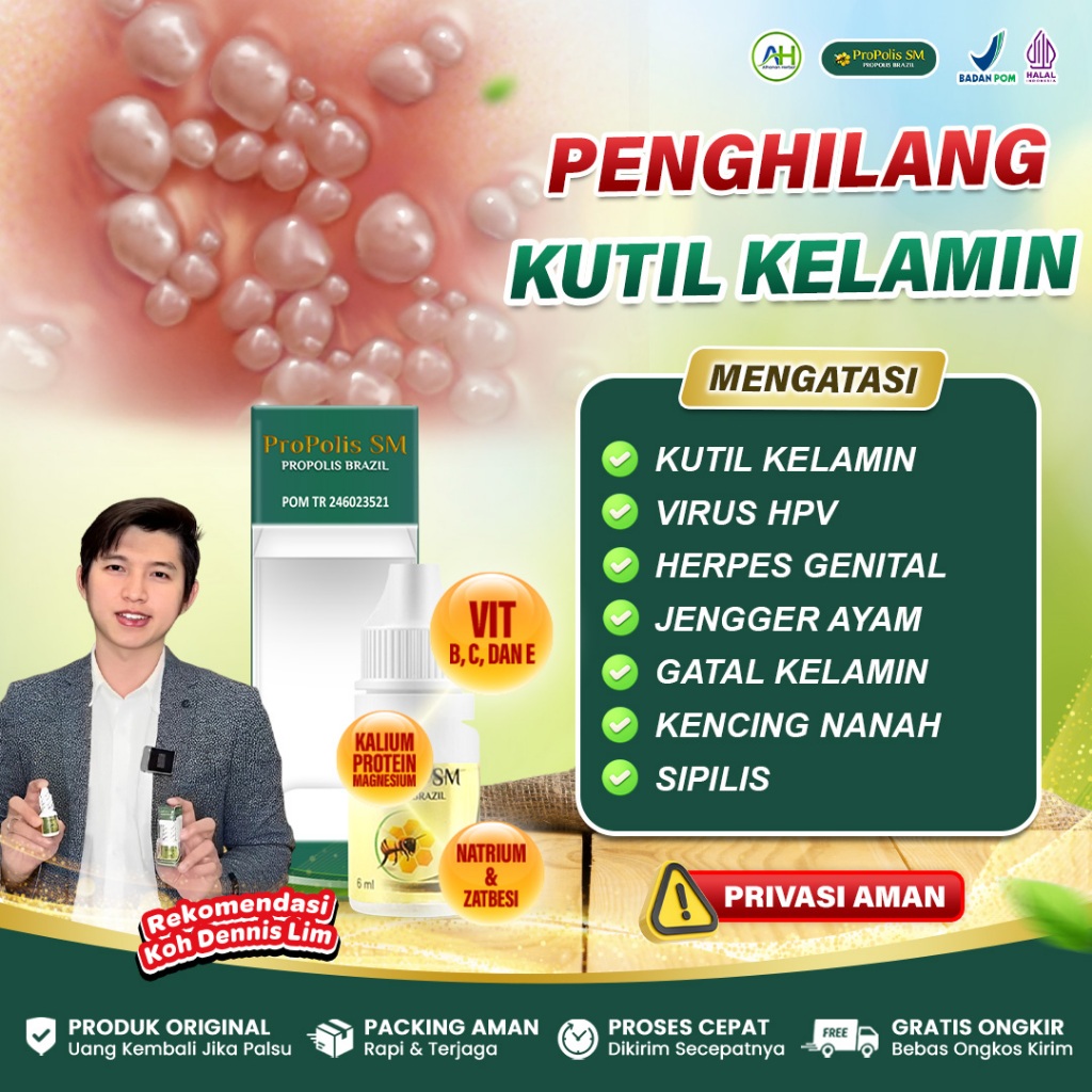 Obat Kutil Kelamin Sipilis Raja Singa Virus HPV Penghilang Kutil Kelamin Jengger Ayam - Propolis SM