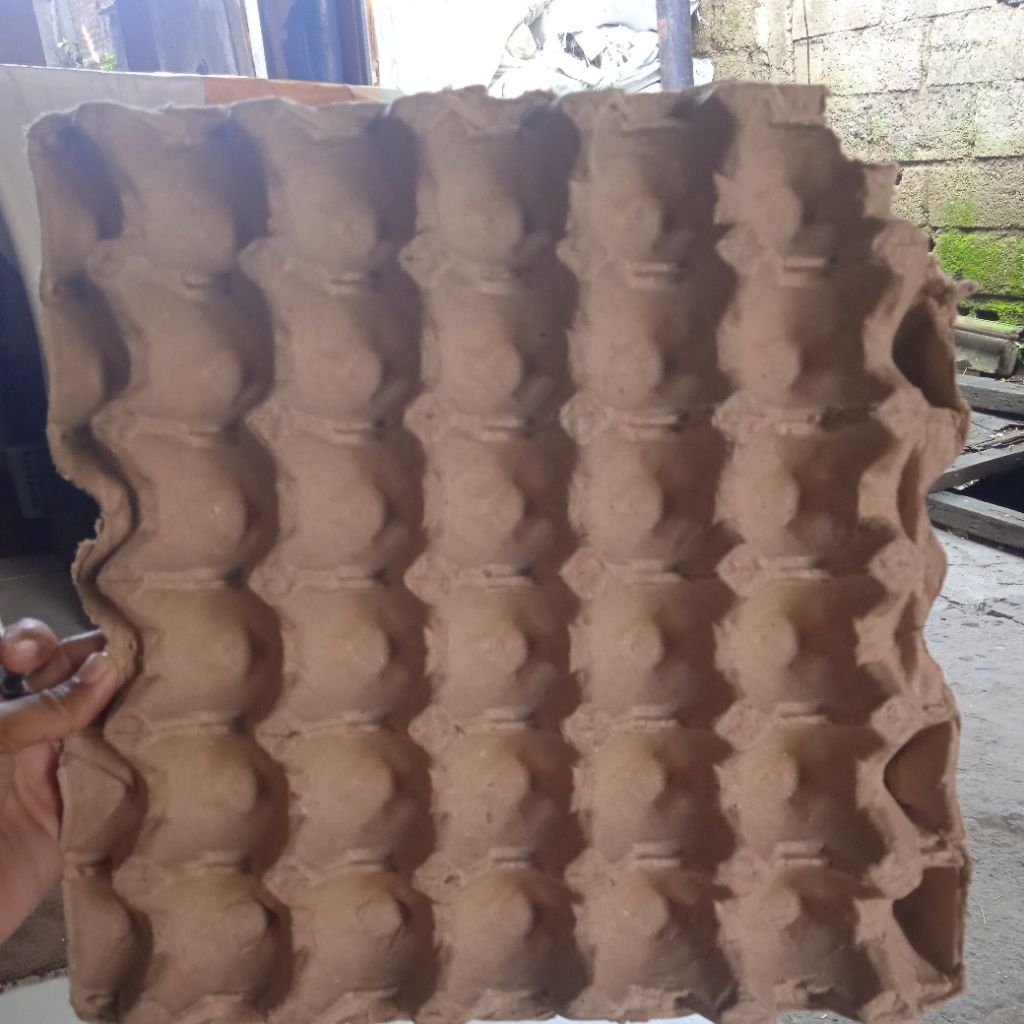 tray telur bekas soltir 02
