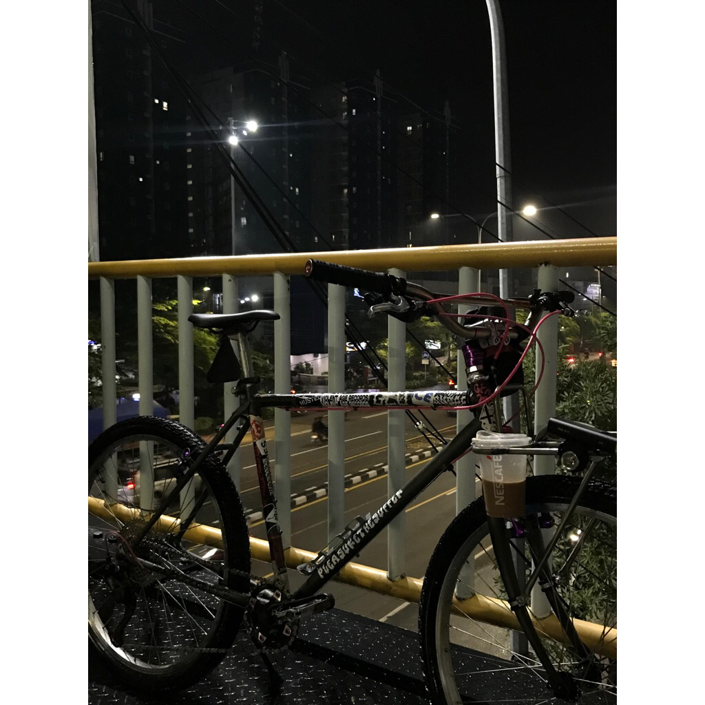 Federal StreetCat NPR