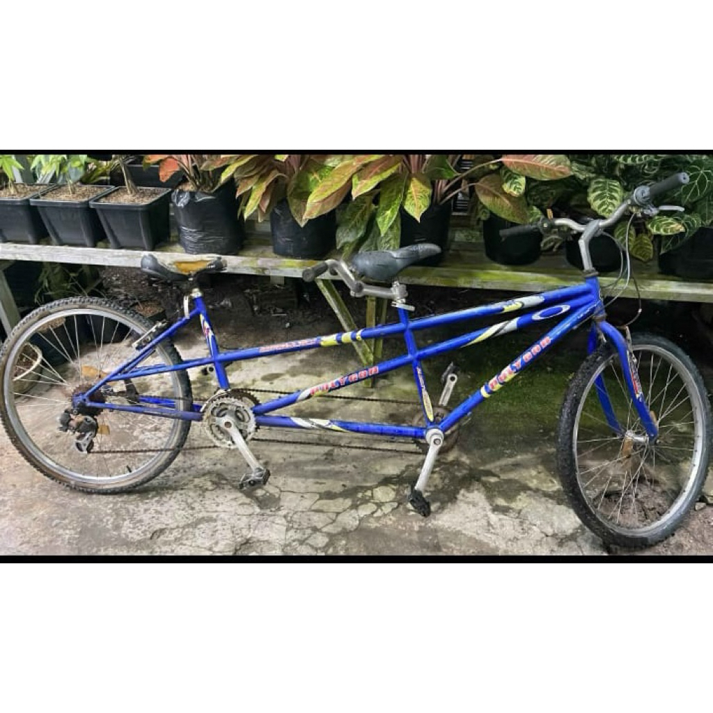 sepeda tandem merek polygon