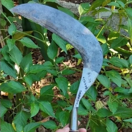 sabit baja isen, sangat tajam, Khusus rumput sabit super tajam, sabit baja sepuhan, sabit padi