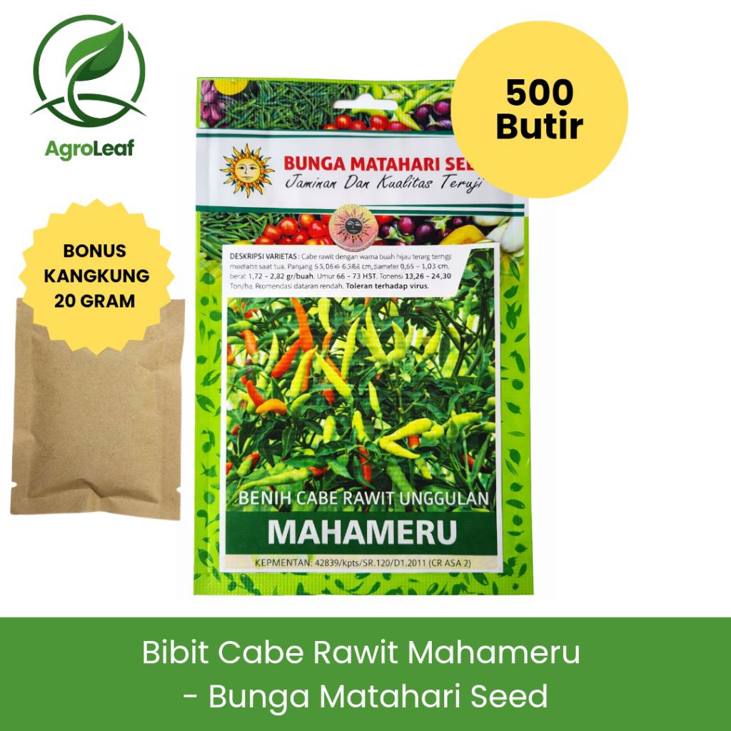 BIBIT CABE RAWIT UNGGULAN MAHAMERU - BUNGA MATAHARI SEED (500 BUTIR) | Benih Cabai Rawit Pedas Unggu