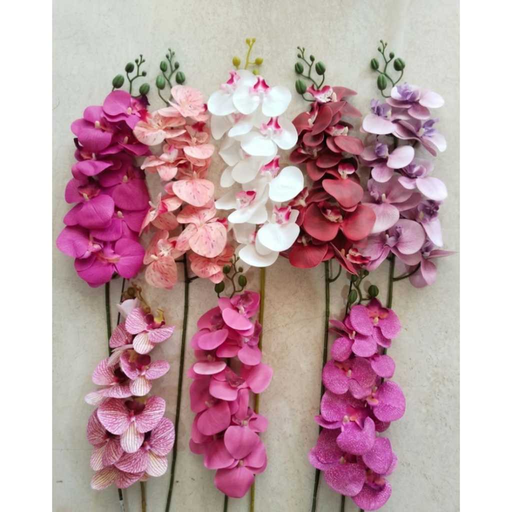 Anggrek 1 Tangkai 9 Kelopak / Bunga Anggrek