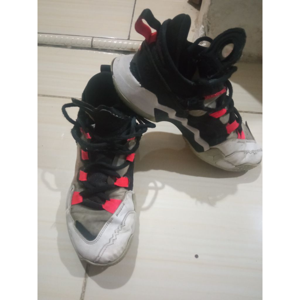 Sepatu Jordan why not?