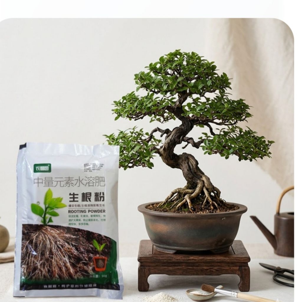 Pupuk rooting powder import 50g - Efektif untuk tanaman bonsai