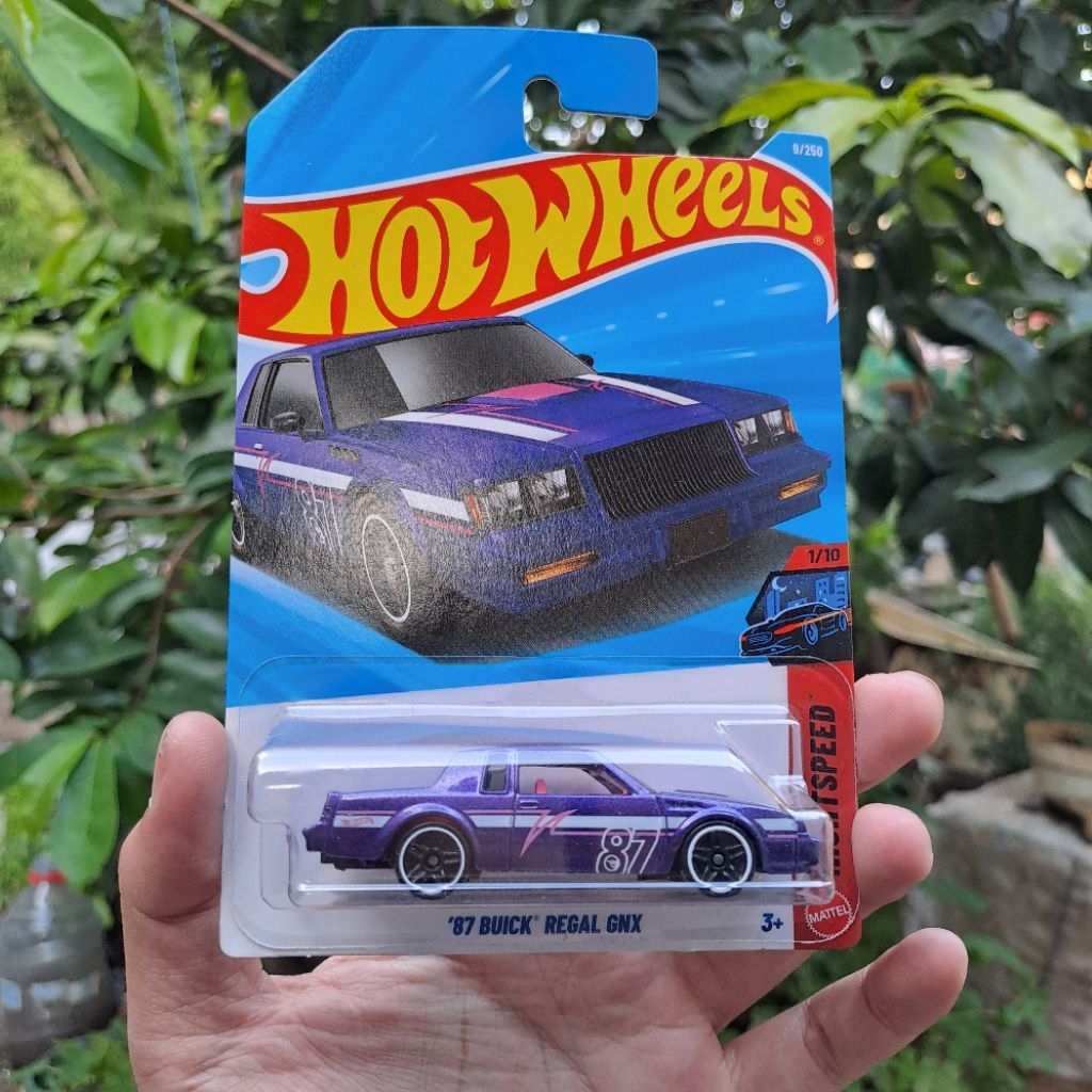 Hot Wheels RTH 87 Buick Regal GNX