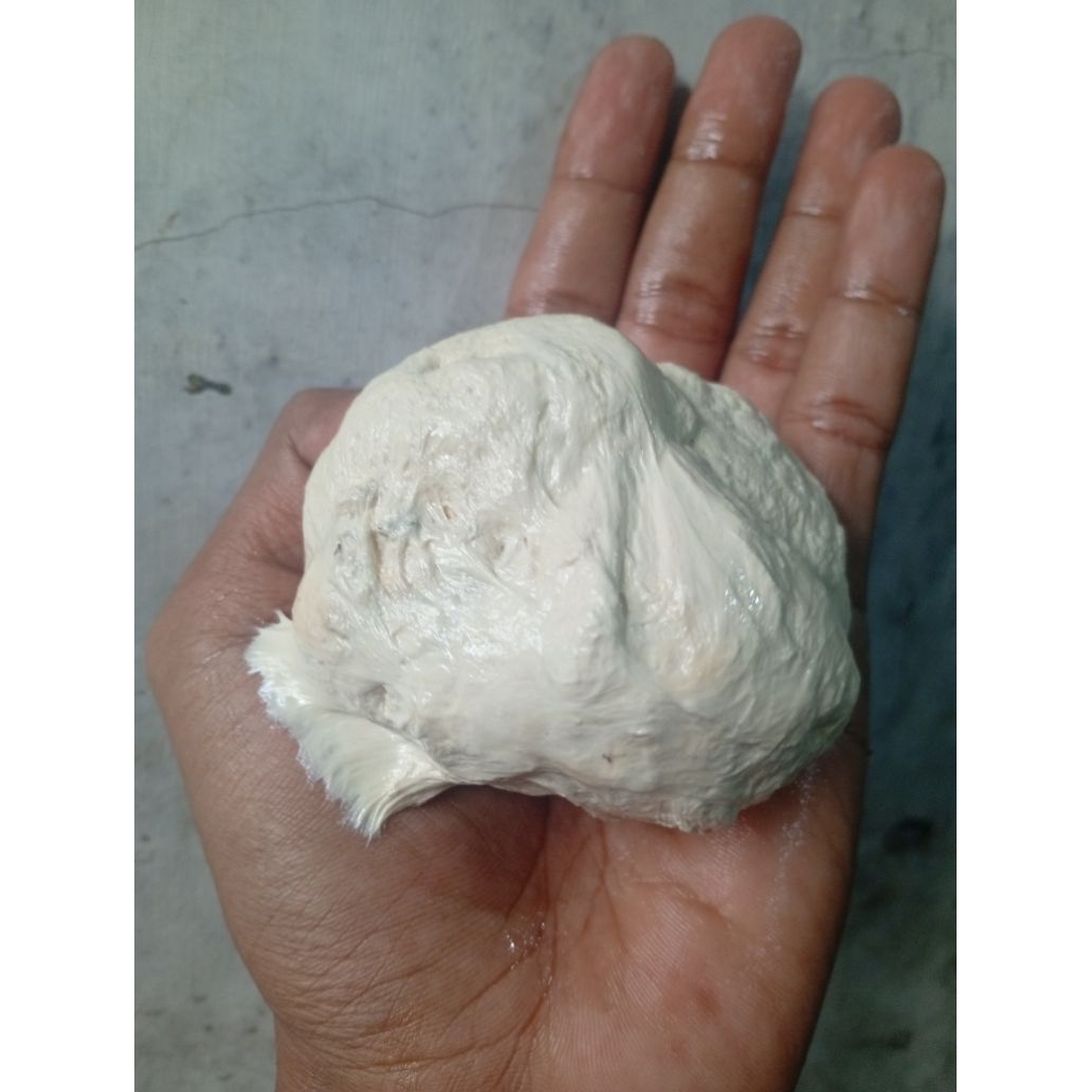 pulut burung