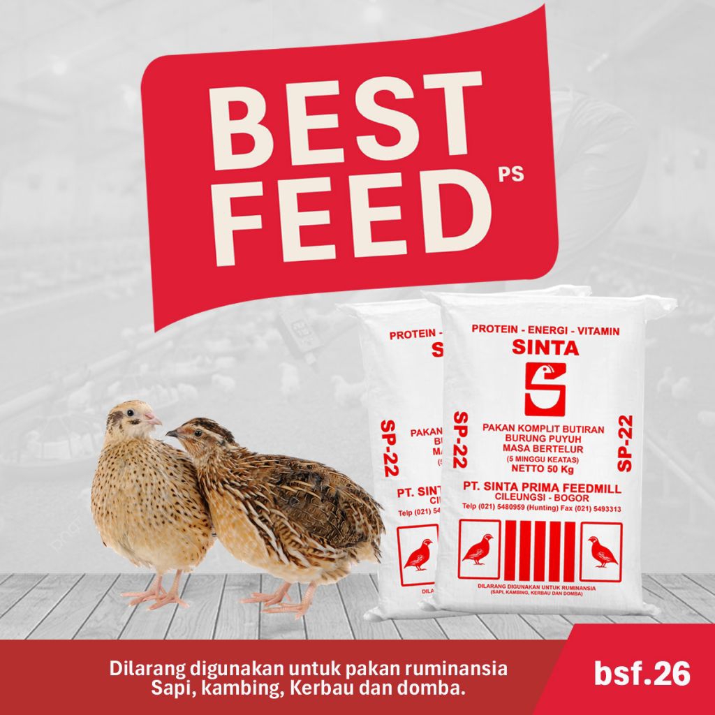 [ REKOMENDED ] SP-22 Repack 1Kg | Pakan Puyuh Petelur