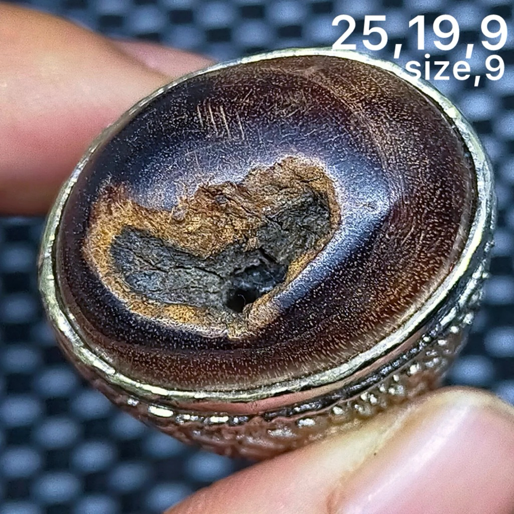 batu akik asli combong vosil kelor antik top hq natural (asli alam)