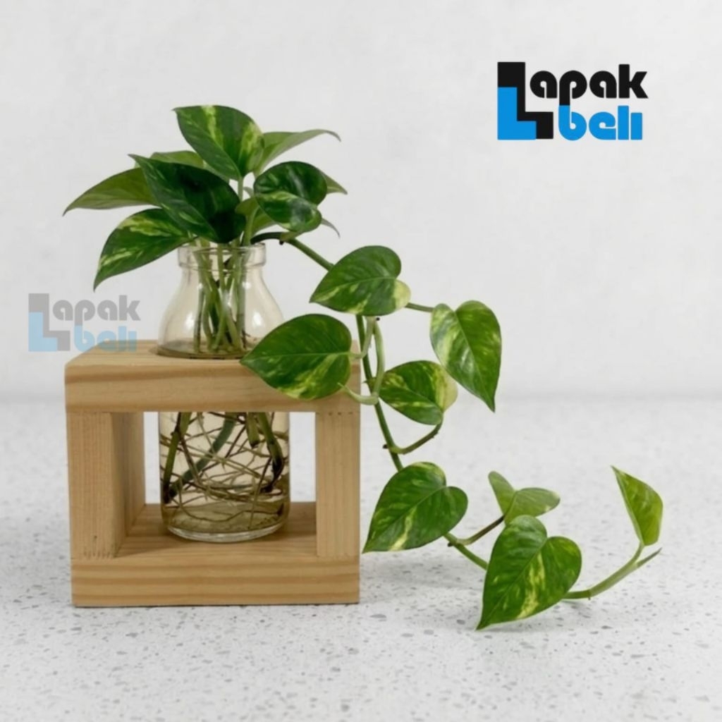 Vas Bunga Kaca Estetik | Pot Bunga Kaca Bening | Vas Pot Tanaman Air Hias artifisial | Bejana | Hias