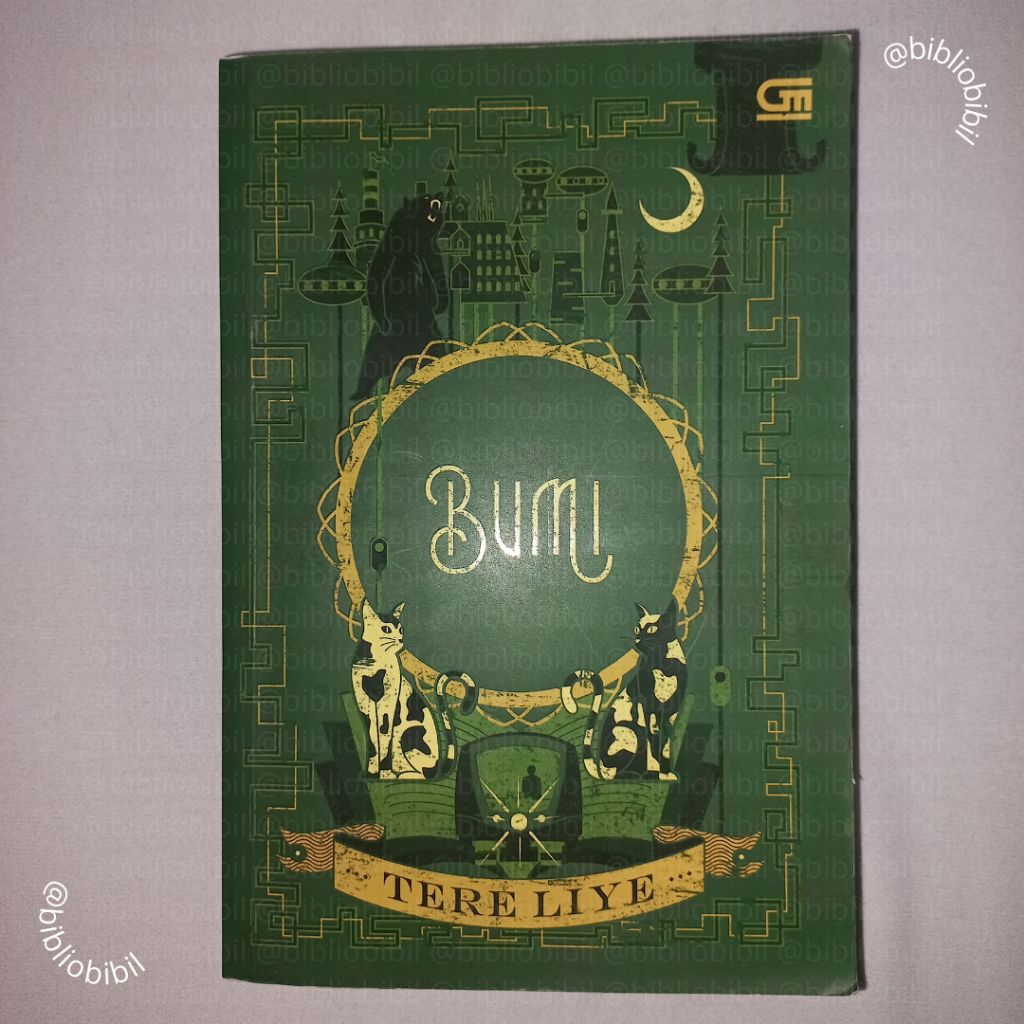 [Preloved] Novel Bumi - Tere Liye | Buku Bekas