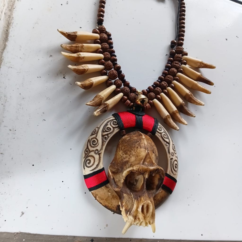 kalaung tengkorak monyet kecil