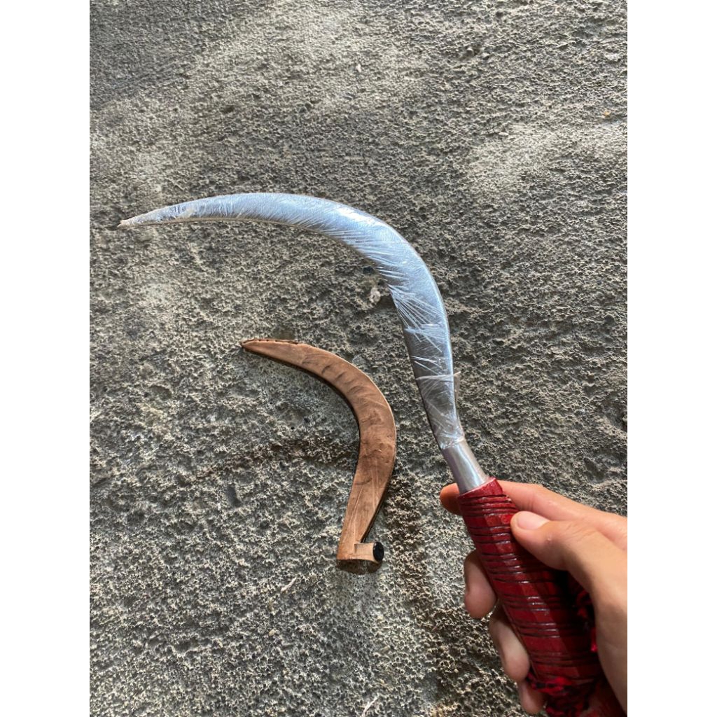 terlaris arit tumpul  asli Madura ukuran 30cm fre sarung