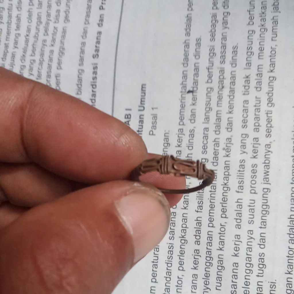 temuan cincin 01