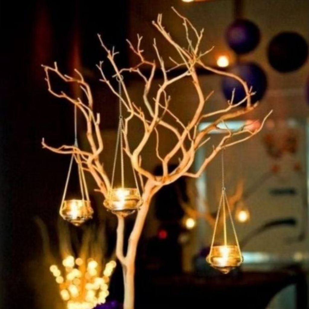 Ranting Kayu Kering Natural Dekorasi Rumah | Ranting Kayu Estetik untuk Rumah Minimalis, Studio Foto