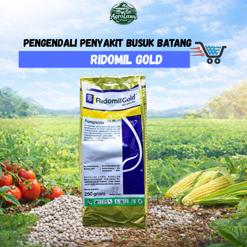 RIDOMIL GOLD - FUNGISIDA RACUN SISTEMIK DAN KONTAK