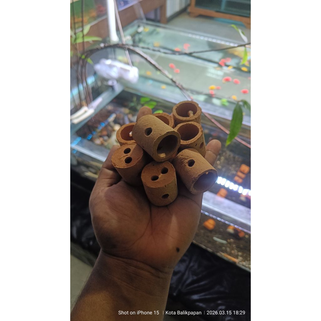 POT TANAMAN AIR / AQUASCAPE