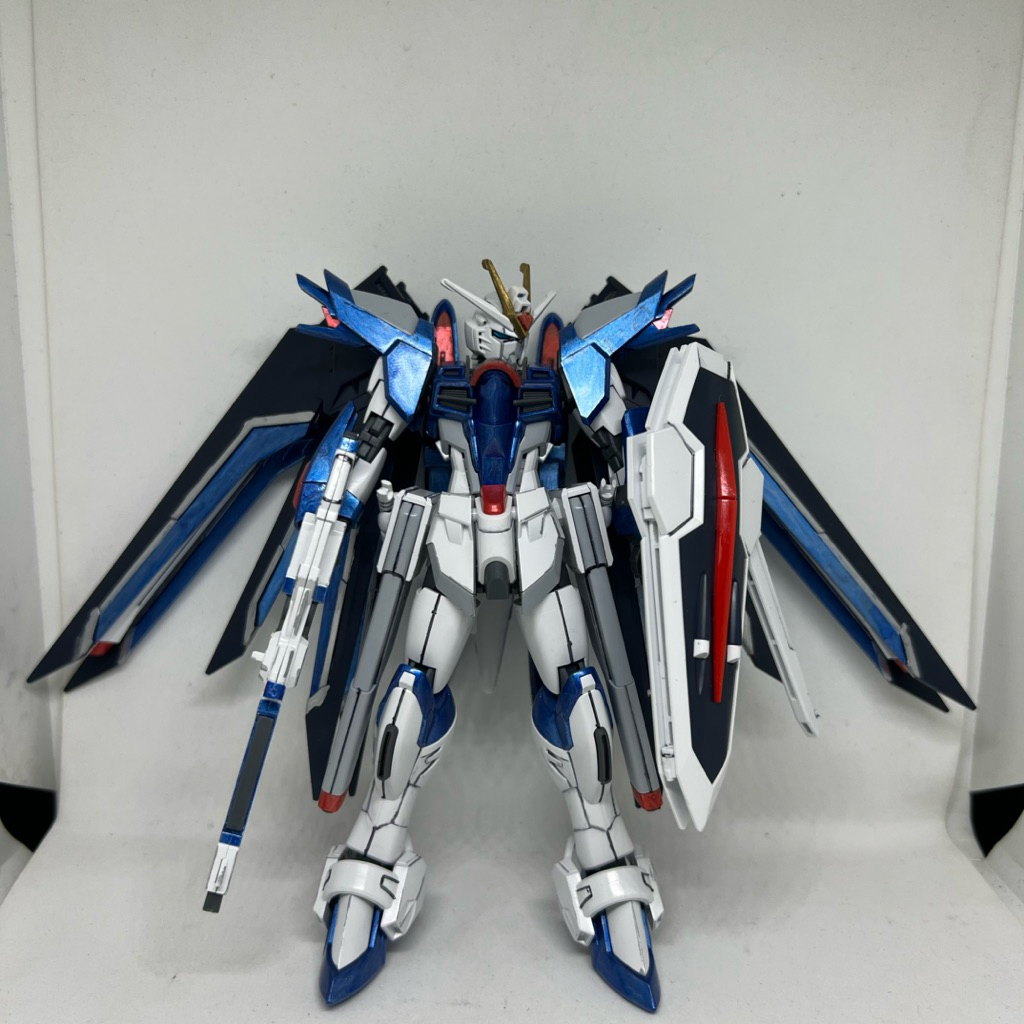Bandai HG Rising Freedom