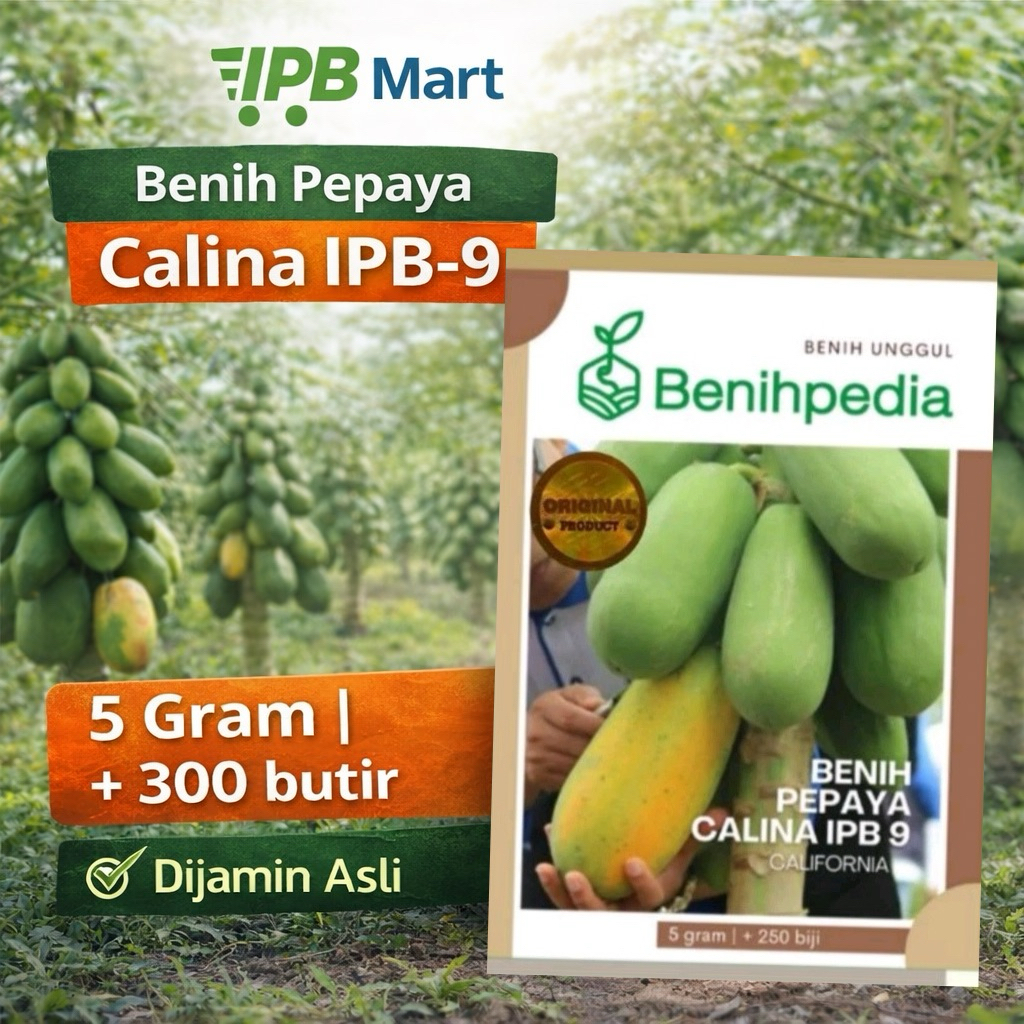 Benih Pepaya Calina IPB 9 / California 5 Gram