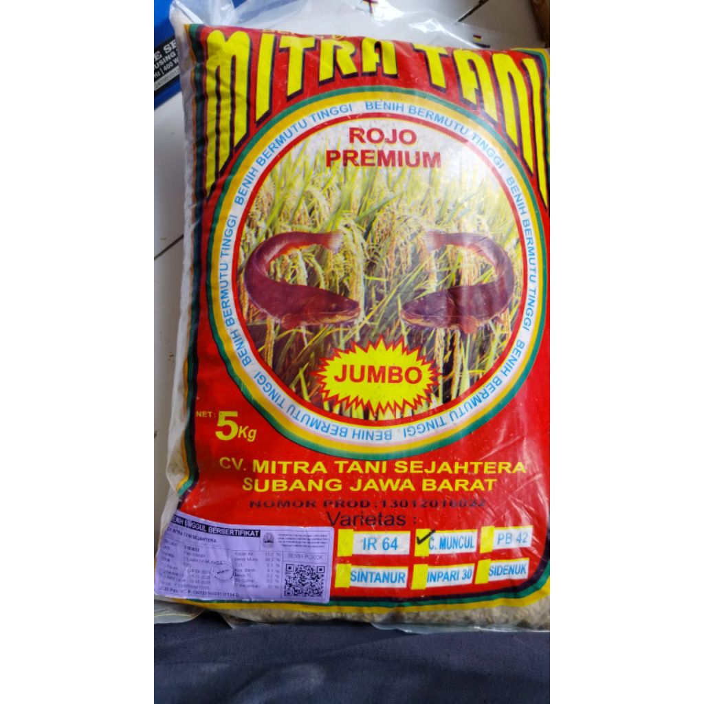 Benih padi unggul Cilamaya muncul bersertifikat kemasan 5kg