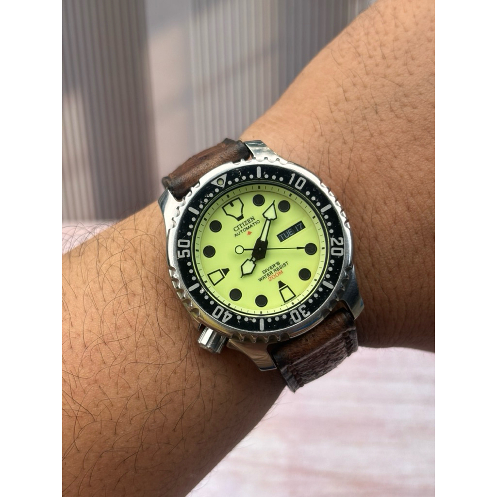 Citizen Fugu Diver Promaster