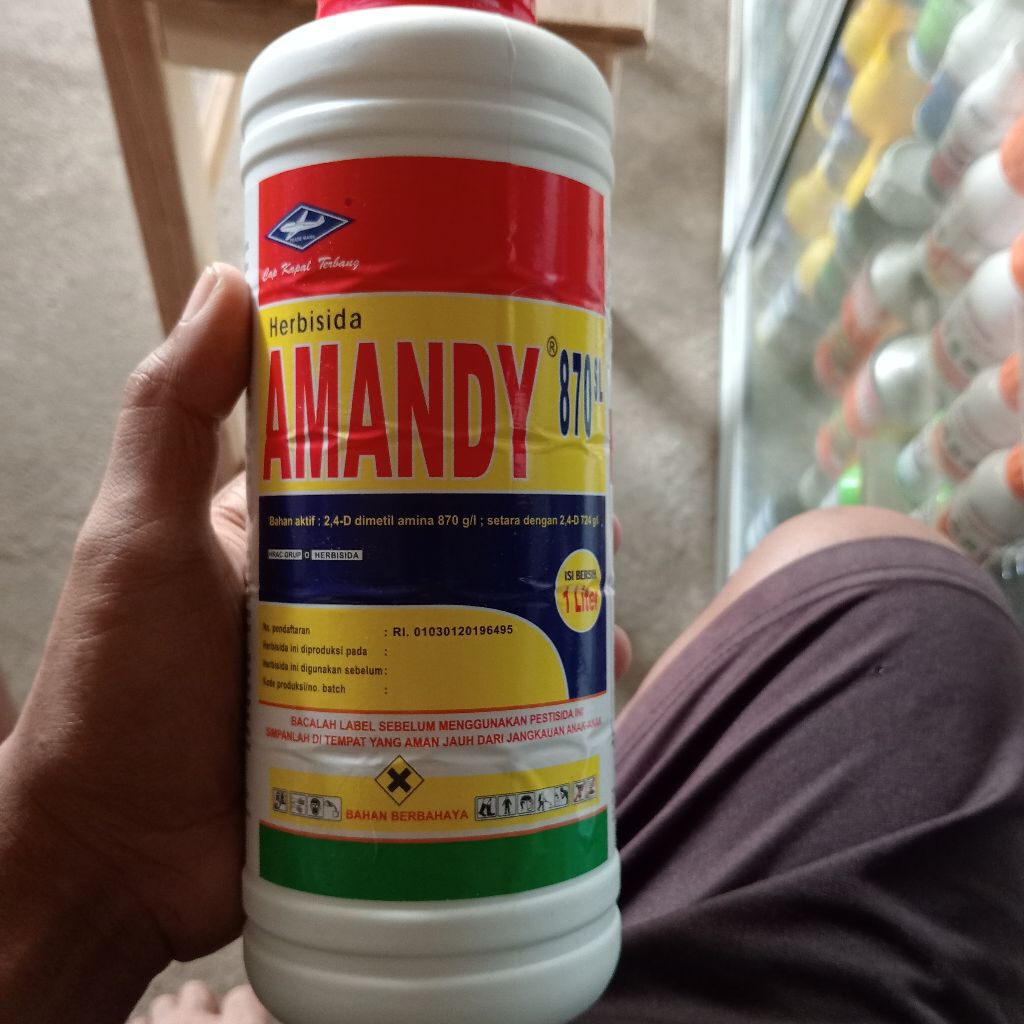 Amandy 500SC - herbisida selektif tebu