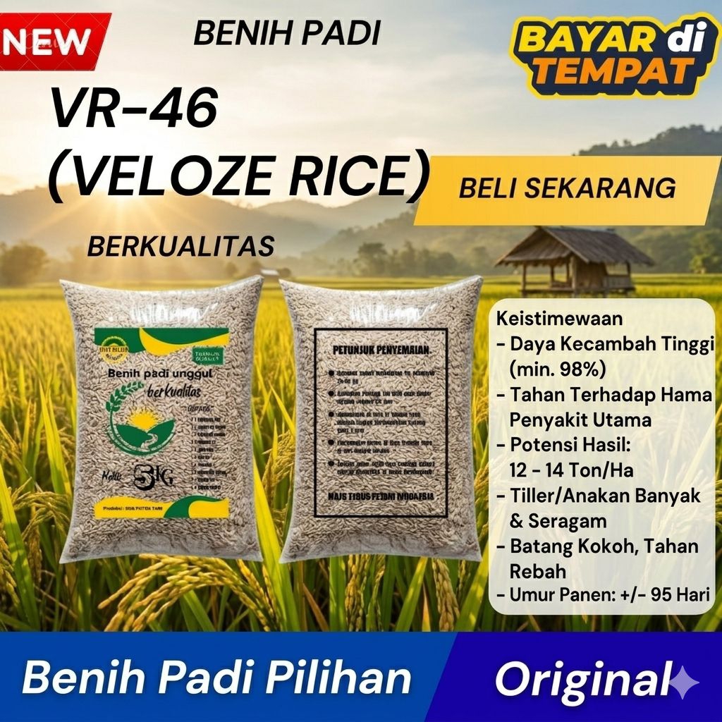 BENIH PADI VR 46 (VELOZE RICE46) KEMASAN 5KG ORIGINAL